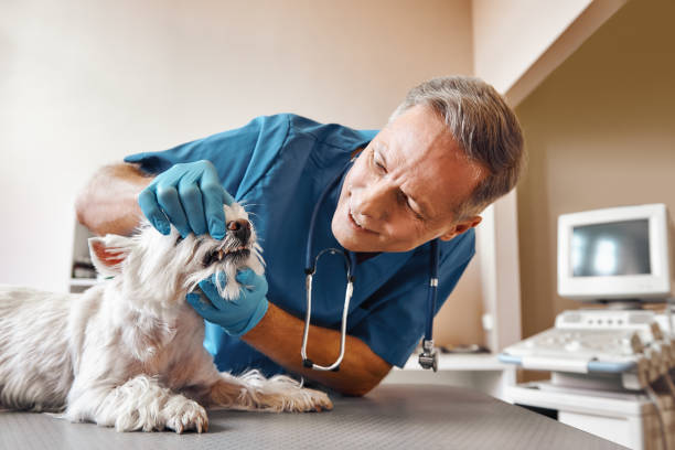 Best Emergency Tooth Extraction in Beaver, OK